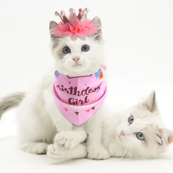 חתול הכתר בנדנות צווארון להגדיר מחמד המפלגה קישוט להגדיר כלב יום הולדת משולש צעיף כובע עניבת פרפר כלב יום הולדת קישוט אספקה